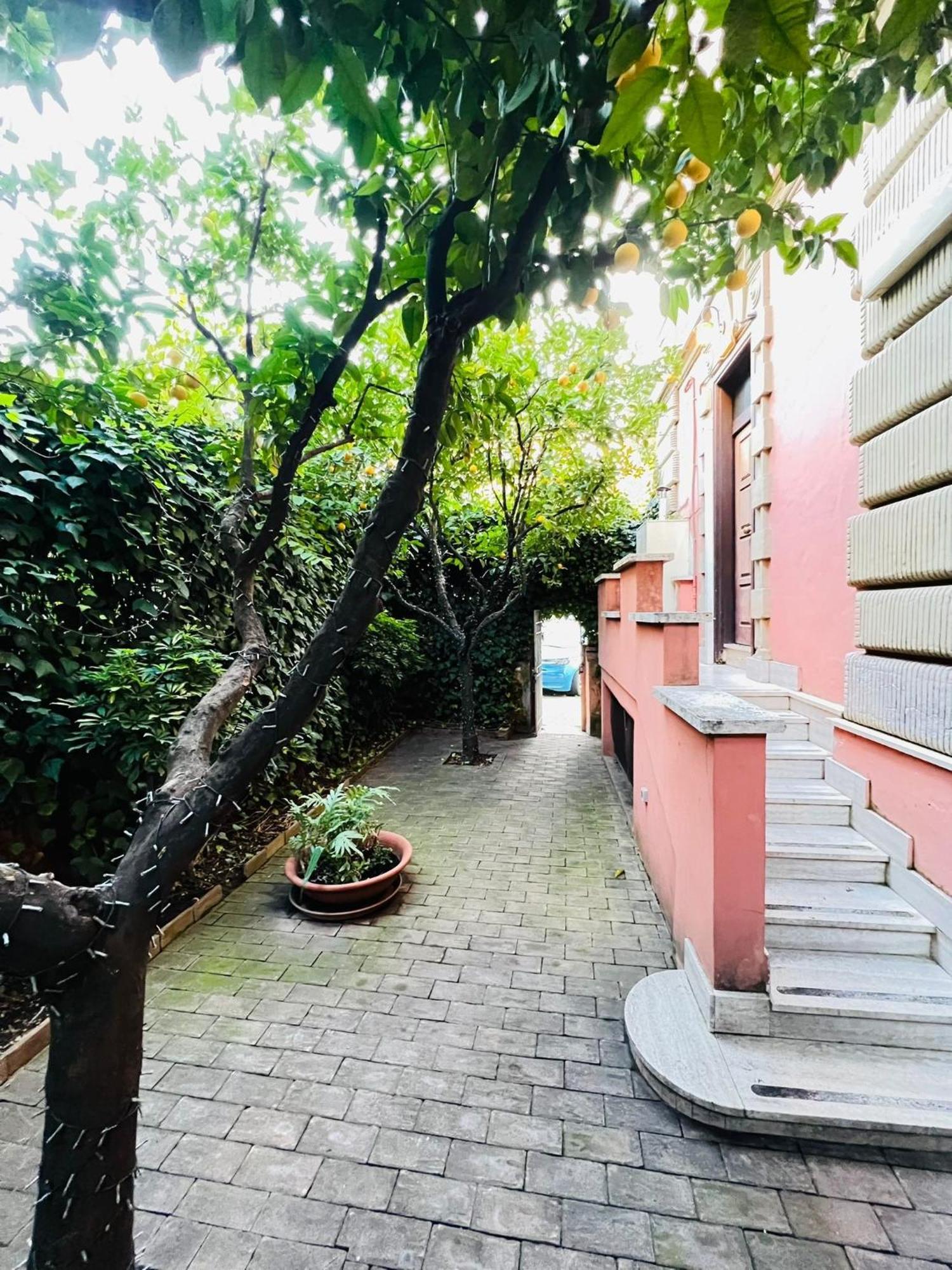 Orange Garden Guest House Roma Dış mekan fotoğraf
